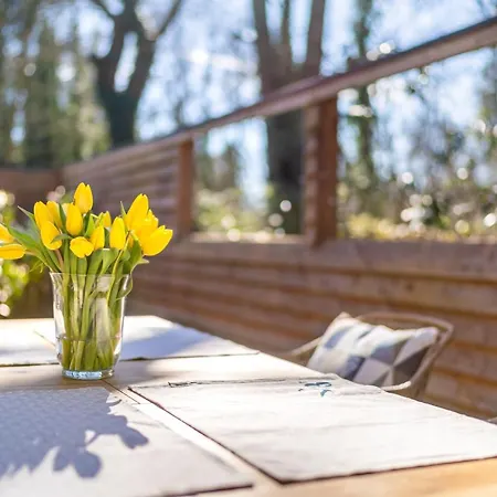 Daire Vivid - Ideal Fuer 4 - Strandnaehe Mit 2 Terrassen - 2 Sz & Wz *